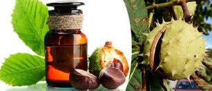 Chestnut tincture a popular remedy for the treatment of prostatitis. 