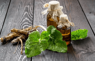The decoction of the root of the burdock